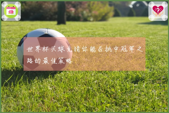 世界杯买球竞猜你能否挑中冠军之路的最佳策略