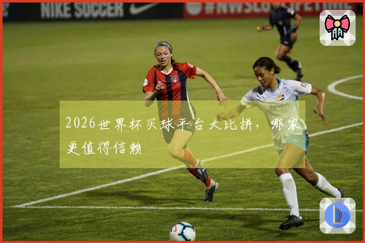 2026世界杯买球平台大比拼，哪家更值得信赖