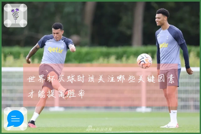 世界杯买球时该关注哪些关键因素才能提高胜率